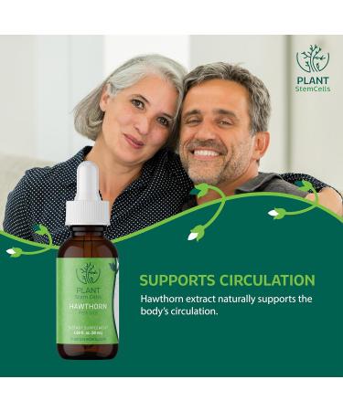 Plant Stem Cells Gemmotherapy Embryonic Hawthorn Buds | Supports Cardiovascular & Circulatory Health Blood Pressure & Healthy Cholesterol Levels for Men & Women* - Buy Online on GoSupps.com