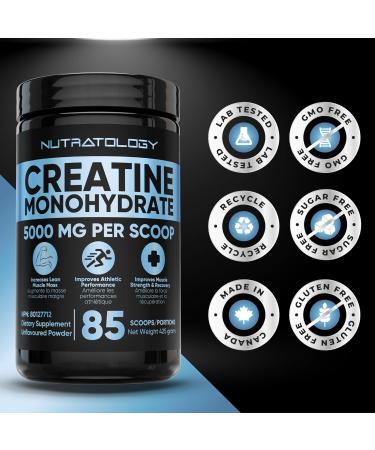 Creatine Monohydrate Powder 425g - For Increased Muscle Growth & Performance - Pre-workout Muscle Builder - Supports Athletic Performance - Creatine Powder for Workouts - 85 Servings 425.00 g (Pack of 1) - Buy Online on GoSupps.com