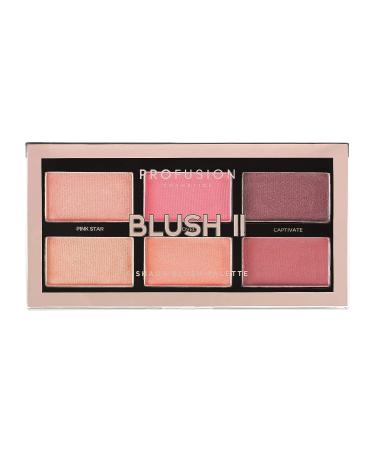 Profusion Cosmetics Mini Artistry On-The-Go Palette - Blush II | Compact Makeup Palette - Buy Online on GoSupps.com