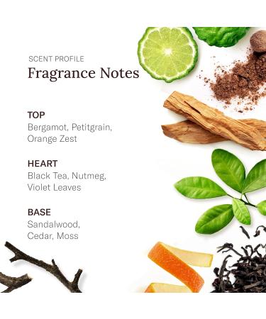 Stetson Oasis - All Day Body Spray - 3 Pack - Buy Online on GoSupps.com