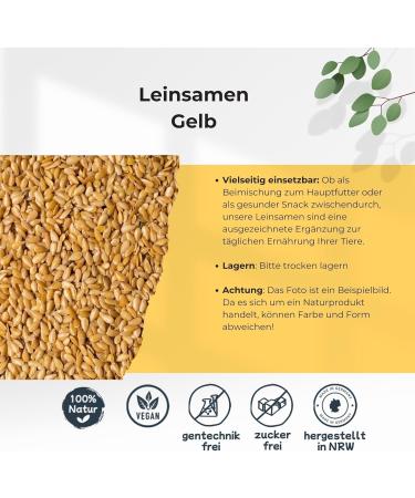 R&M Yellow Flax Seeds 0.8kg | Flaxseed - Buy Online on GoSupps.com