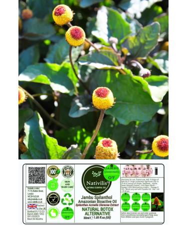 Nativilis Jambu Spilanthol Amazonian Bioactive Oil Spilanthes Acmella Oleracea Extract 100% Natural Pure Botox Alternative - Relax facial muscles skin firmness antioxidant properties Copaiba - 30 ml - Buy Online on GoSupps.com