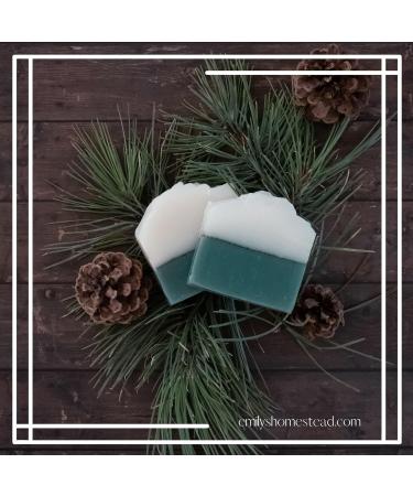 Emily's Homestead Natural Bar Soap - Woodland Walk | Moisturizing Soap for Healthy Skin - Buy Internationally - Buy Online on GoSupps.com