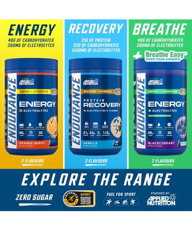 Applied Nutrition Endurance Recovery Chocolate EAN 5056555201541 1500g - Buy Online on GoSupps.com