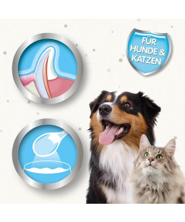 Beaphar Sea Algae Powder for Dogs & Cats - 100% Natural Dental Care - Fresh Breath & Muzzle Hygiene - 75g - Buy Online on GoSupps.com
