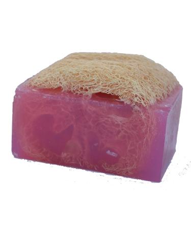 Luffa Soap Bar (4.5oz) - Amazing Grace - Exfoliating Soap Handmade Glycerin soap - Falls River Soap