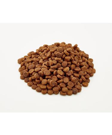 Venandi Animal Premium Cat Food - Salmon Grain-Free Fresh Fish Dry Food - 300g Pack - Buy Online on GoSupps.com