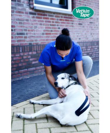 Buy Vetkin Vetkintape Kinesiology Tape for Animals - 6cm*5m | Kinesiotape for Horses & Dogs | Latex-free T V-certified 25% Stronger Adhesive - Buy Online on GoSupps.com