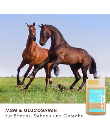 Supravit MSM & Glucosamine for Horses | 1000ml Liquid Joint Health Supplement | Support Tendons & Ligaments - Buy Online on GoSupps.com