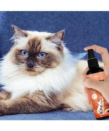 Stronrive Dog detangler - Cat detangling spray 100ml essential oil-infused detangling spray for cats with vitamin E supplies - Buy Online on GoSupps.com