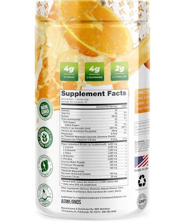 About Time Plant Based BCAA Hydrate - Clear Electrolyte Drink with L-Glutamine Non-GMO & Gluten Free - Orange Cream 20 Servings | International Shipping Available - Buy Online on GoSupps.com