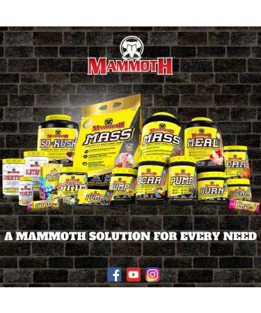 Mammoth NeuroStim 60 Serve Caffeine & Nootropic Brain Supplement Formula Energy & Focus Mental & Physical Boost Increased Cognition Lion s Mane Mushroom Clear Raspberry - Buy Online on GoSupps.com