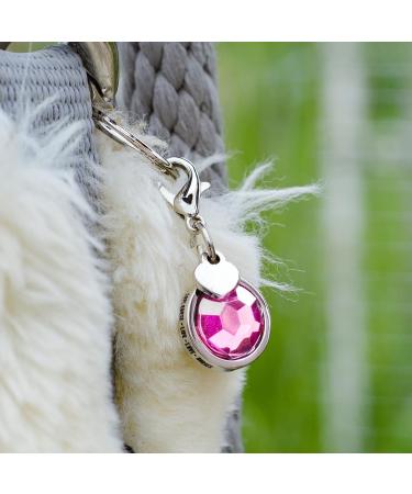 Soulhorse Bridle Ranges & Lucky Charms for Horses | Keychains & Trailer Charms with Artificial Stone - Shop Charm Lucky Stone Rose - Buy Online on GoSupps.com