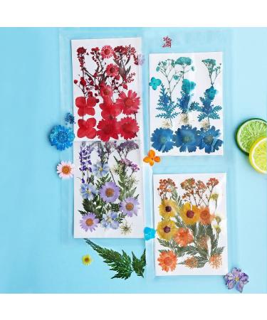 Colorful Real Dried Pressed Flowers & Leaves for Crafts - Resin Art, Floral Decor, Candle & Jewelry Making - Buy Online on GoSupps.com