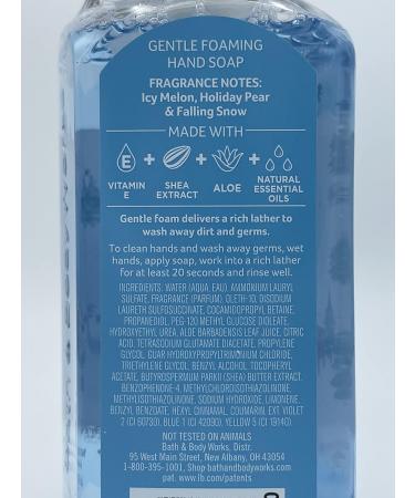 Bath and Body Works Holiday Gentle Foaming Hand Soap Set of 5 - Perfect for Gifts & Home Care | International Shipping Available - Buy Online on GoSupps.com