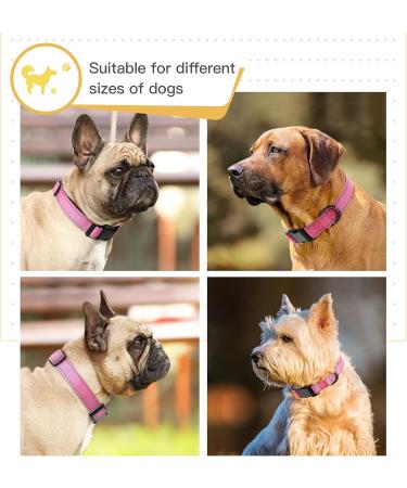Heele Reflective Dog Collar | Soft Neoprene Padded Nylon for Small to Large Dogs | Adjustable 40-66 cm | Pink - Buy Online on GoSupps.com