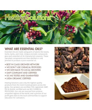 Buy 100% Pure Clove Essential Oil - Therapeutic Grade - 120ml | International Shipping Available - Buy Online on GoSupps.com