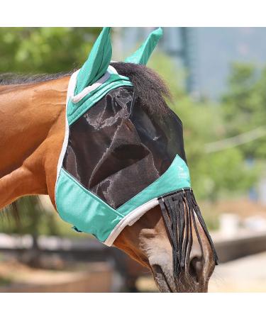 Harrison Howard CareMaster Horse Fly mask with Ears and Nose Fringe Fly Protector Defender Mask Summer Mint Full Size Full (Large) Summer Mint - Buy Online on GoSupps.com