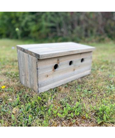 Selections Sparrow Colony Wooden Nesting Box Terrace - Buy Online on GoSupps.com