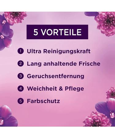 Lenor Color All-in-1 Pods - Amethyst Flower Dream | 104 Wash Loads | Hygienic Deep Cleaning & Long-Lasting Freshness - Buy Online on GoSupps.com