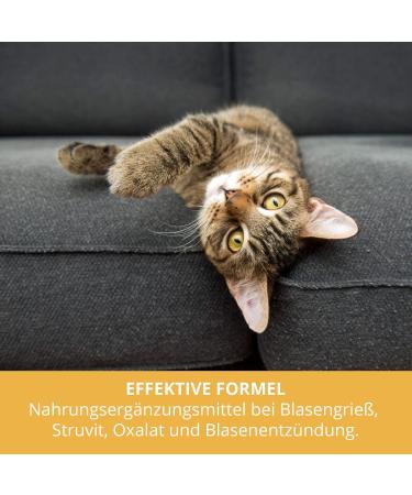 Buy Sensipharm Urologist AID - Bladder Formula for Pets | 90 Tablets for Cats Dogs Guinea Pigs & Rabbits | Kidney Stones & Bladder Infection Relief - Buy Online on GoSupps.com