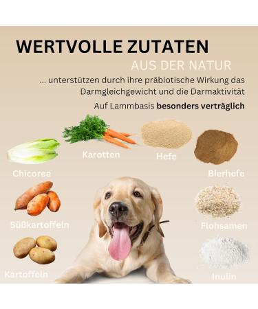 Pawnutrio Prebiotics Dog Snacks - 100% Natural Grain-Free Digestion Treats | Relieve Diarrhea & Heartburn | 300g Can - Buy Online on GoSupps.com