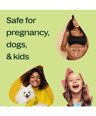 Plant Therapy Organic Ylang Ylang Complete Essential Oil 30 mL (1 oz) 100% Pure USDA Certified Organic Undiluted Sensual Aromatherapy and Natural Skin Care - Buy Online on GoSupps.com