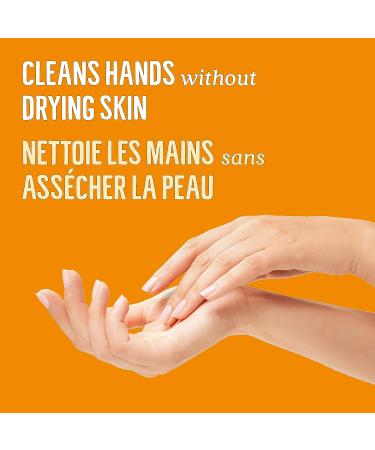 Seventh Generation Fresh Citrus Hand Wash - 12 Ounce (12 Fl Oz) - Buy Online on GoSupps.com