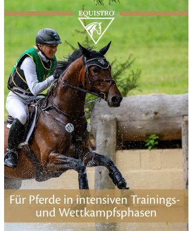 Equistro Triforce Powder 600g for Horses - Buy Online on GoSupps.com