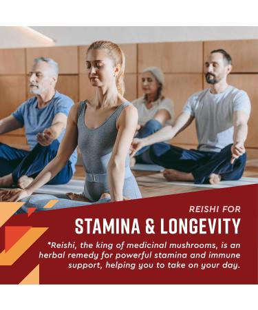 360 Nutrition Ashwagandha & Reishi Root Supplement Drops for Stress Relief Stamina & Longevity and Energy Support - Vegan Non-GMO Adaptogenic - 4 fl oz 60 Servings - Buy Online on GoSupps.com