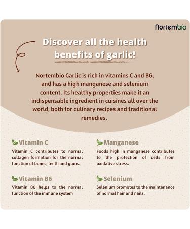 Nortembio Garlic Powder 500g - 100% Natural Origin, Vegan & Gluten-Free Ground Garlic - Ideal for Meat, Vegetables, and Fish - No Additives or Preservatives - Buy Online on GoSupps.com