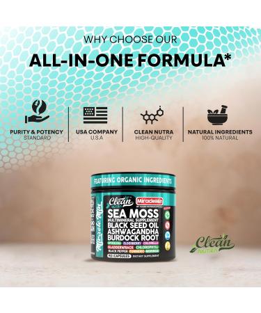 Clean Nutra Organic Sea Moss Capsules with Ashwagandha Black Seed Oil Burdock Root Bladderwrack Moringa Chlorella Spirulina Turmeric Elderberry Amla 90 Vegan Capsules MiracleMin 1 - Buy Online on GoSupps.com