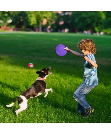 Vivifying Frisbee Dog - 2-Pack 15cm Natural Rubber Dog Frisbees for Land & Water (Green + Purple) - Ideal for Fun & Play - Buy Online on GoSupps.com