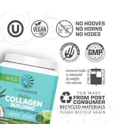 Coconut Matcha & Vanilla Vegan Collagen Protein Powder Set | Bundle & Save | Plant Based Collagen Booster | Non-GMO No Added Sugar Soy or Dairy (20 Servings Coconut Matcha 40 Servings Vanilla) - Buy Online on GoSupps.com