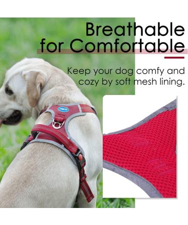 Thinkpet No-Pull Dog Harness - Breathable & Adjustable for Small Medium Large Dogs | Safe Control Padded Reflective Harness & 1.5m Leash Set - Red - Buy Online on GoSupps.com