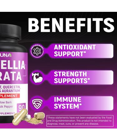 Boswellia Capsules with Boswellia Turmeric Quercetin and More - 90 Capsules for 3 Months Supply - Buy Online on GoSupps.com