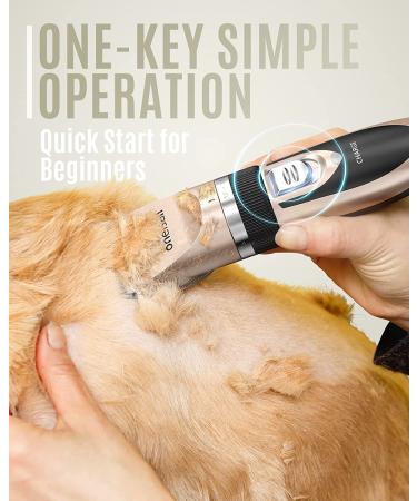 Oneisall Low Noise Rechargeable Cordless Pet Hair Clippers - Quiet Electric Grooming Set for Dogs Cats - Gold - Buy Online on GoSupps.com