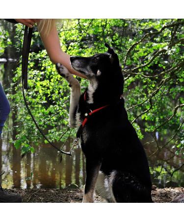 Lionto Dog Collar - Red Retriever Training Collar 65 cm Length 1 cm Thickness - International Shipping Available - Buy Online on GoSupps.com