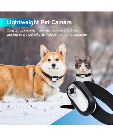 JECTSE Katzenhalsband Kamera - WLAN-frei 120 Weitwinkel Videoaufnahmen Haustierkamera f r Innen & Au en (Wei ) - Buy Online on GoSupps.com