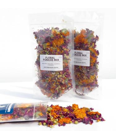 No Furries Delights Forage Mix 100% All Natural Botanical Herbs for Rabbit Hamster Guinea Pig Chinchilla Chicken Hermit Crab (Floral Forage Mix 25g) Floral Forage Mix 25 g (Pack of 1) - Buy Online on GoSupps.com