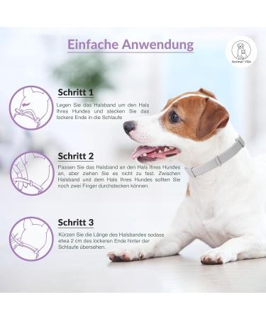 Animal Vita Lavender Tick Neck Band for Dogs - Waterproof Adjustable 100% Natural Protection Against Vermin - Up to 8 Months of Efficacy - Buy Online on GoSupps.com