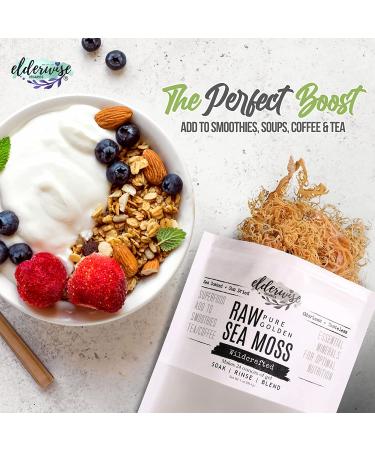 Wildcrafted Sea Moss Gel - Raw, Non-GMO, Sundried, Mineral Rich - Makes 20oz - Golden - Buy Online on GoSupps.com
