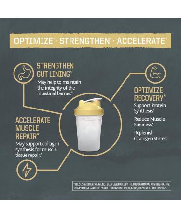 L-Glutamine Powder Glutamine Supplement Support Muscle Recovery Gut Health Support Reduce Soreness Amino Acids Boost Protein Synthesis Accelerates Recovery Post-Workout 100 Servings Unflavored - Buy Online on GoSupps.com