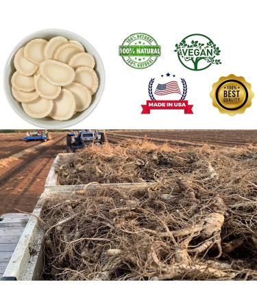 American Ginseng Slices from Wisconsin DOL American Wisconsin Ginseng Slices Root for Tea Energy for Men Women Health Boosts Immunity / Lager Round Strip 4OZ/Bag 4OZ/Bag-Lager Round Strip-Ginseng Slices - Buy Online on GoSupps.com