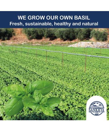 Farm Fresh Italian Basil Pesto Pasta Sauce & Salad Dressing (1.1lb) - Low Sodium, Premium Quality - Buy Online on GoSupps.com