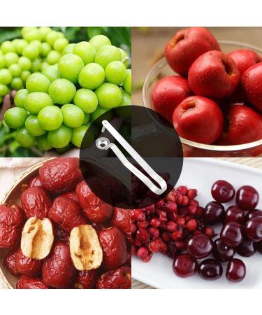 Arrovarp Olive Tool Remover - Portable Cherry Kernel Remover for Grapes Cherries Jujubes & Red Dates | International Shipping - Buy Online on GoSupps.com