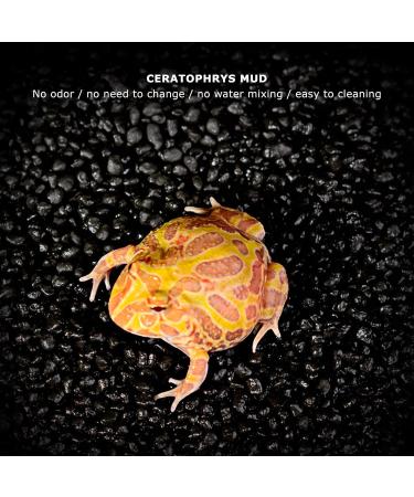 Amphibious Pet Activated Charcoal Amphibious Pet Reptiles Ceratophrys Mud Activated Charcoal Breeding Box Substrate Supply (S) - Buy Online on GoSupps.com