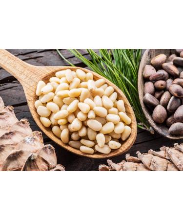 Mynatura Bio Cedar Nuclei | Siberian Wild Collection Pine Nuts Mix (2 x 500g) Healthy Snack & Nut Delights - Buy Online on GoSupps.com