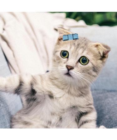 Hayaww 5 PCs Dog Hair Clips & Loops - Pet Accessories for Small Dogs & Cats - Blue Dog Arches & Hair Needles - Buy Online on GoSupps.com