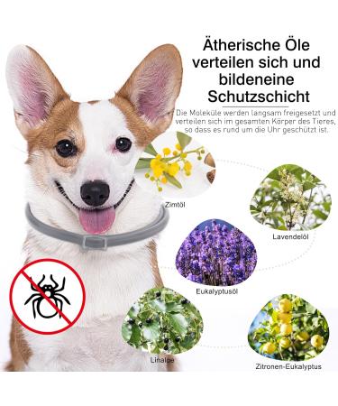 DEWEL 2PCS Adjustable Waterproof Tick Collar for Dogs & Cats - 63.5cm Flea Prevention - Buy Online on GoSupps.com